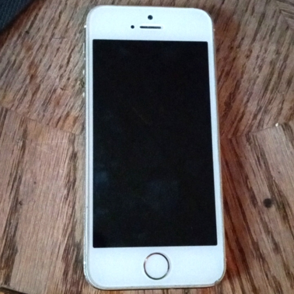 Apple iphone 5s